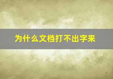 为什么文档打不出字来