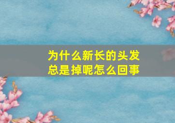 为什么新长的头发总是掉呢怎么回事