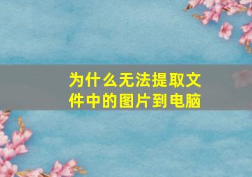 为什么无法提取文件中的图片到电脑