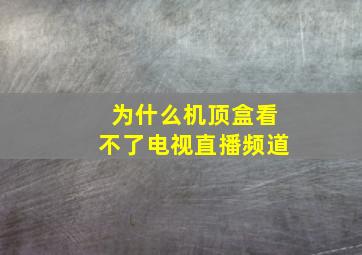 为什么机顶盒看不了电视直播频道