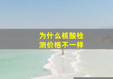 为什么核酸检测价格不一样