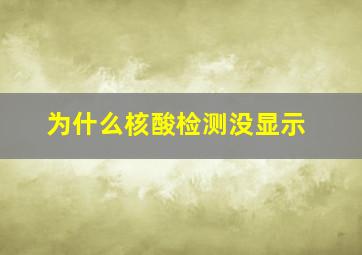 为什么核酸检测没显示