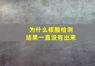 为什么核酸检测结果一直没有出来