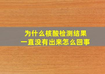 为什么核酸检测结果一直没有出来怎么回事