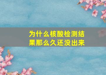 为什么核酸检测结果那么久还没出来