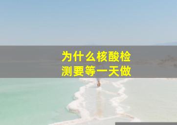 为什么核酸检测要等一天做