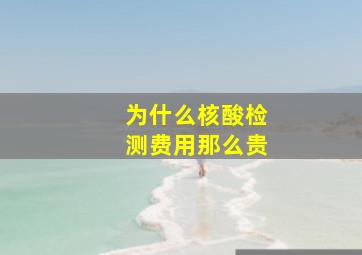 为什么核酸检测费用那么贵