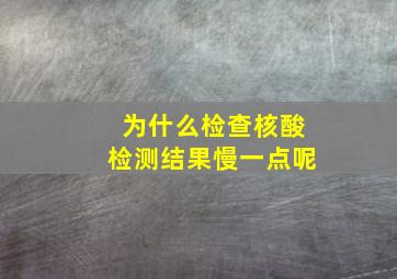 为什么检查核酸检测结果慢一点呢