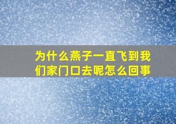 为什么燕子一直飞到我们家门口去呢怎么回事