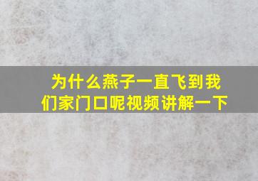 为什么燕子一直飞到我们家门口呢视频讲解一下