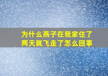 为什么燕子在我家住了两天就飞走了怎么回事