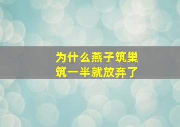 为什么燕子筑巢筑一半就放弃了