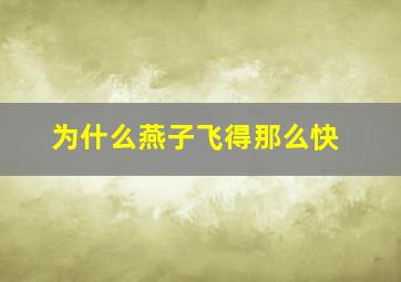 为什么燕子飞得那么快