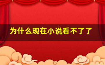 为什么现在小说看不了了