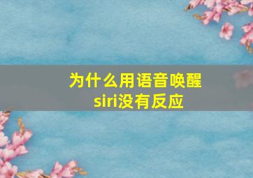 为什么用语音唤醒siri没有反应