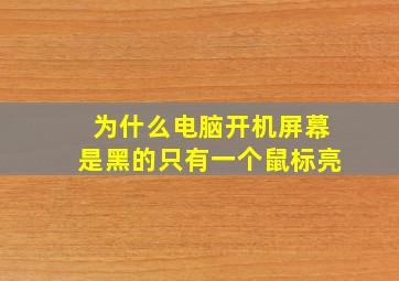 为什么电脑开机屏幕是黑的只有一个鼠标亮