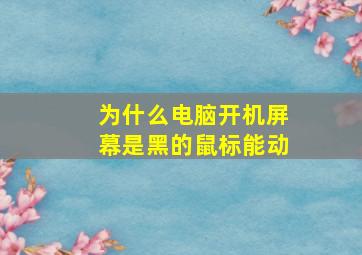 为什么电脑开机屏幕是黑的鼠标能动