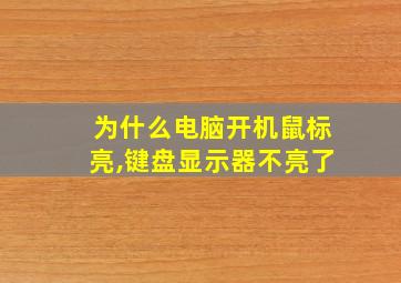 为什么电脑开机鼠标亮,键盘显示器不亮了