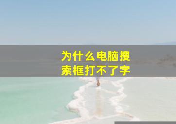 为什么电脑搜索框打不了字