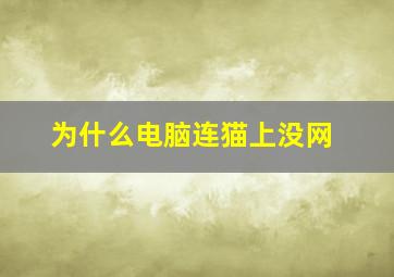 为什么电脑连猫上没网