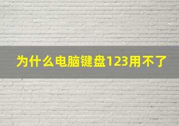 为什么电脑键盘123用不了