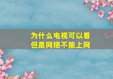 为什么电视可以看但是网络不能上网