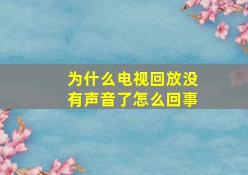 为什么电视回放没有声音了怎么回事