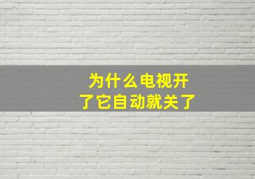 为什么电视开了它自动就关了