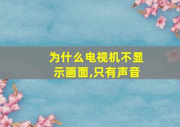 为什么电视机不显示画面,只有声音