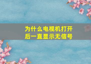 为什么电视机打开后一直显示无信号