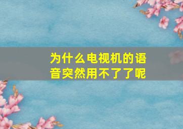 为什么电视机的语音突然用不了了呢