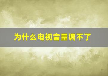 为什么电视音量调不了