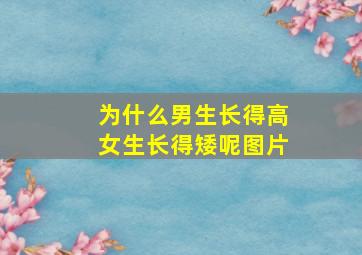 为什么男生长得高女生长得矮呢图片