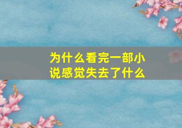 为什么看完一部小说感觉失去了什么