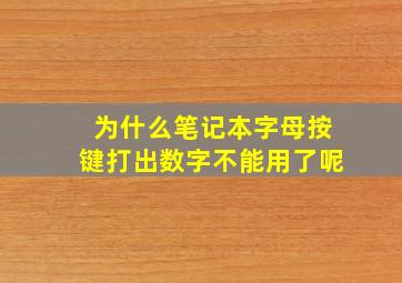 为什么笔记本字母按键打出数字不能用了呢