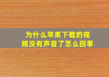 为什么苹果下载的视频没有声音了怎么回事