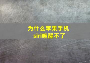 为什么苹果手机siri唤醒不了