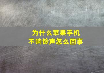 为什么苹果手机不响铃声怎么回事