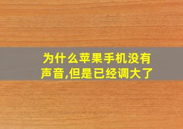 为什么苹果手机没有声音,但是已经调大了