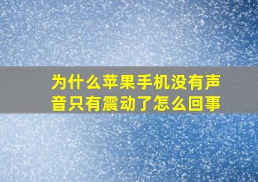 为什么苹果手机没有声音只有震动了怎么回事