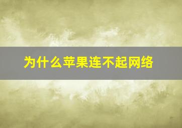 为什么苹果连不起网络