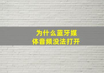 为什么蓝牙媒体音频没法打开