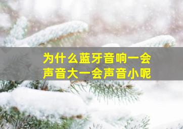 为什么蓝牙音响一会声音大一会声音小呢