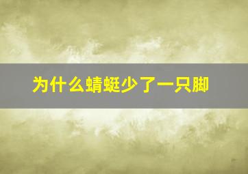 为什么蜻蜓少了一只脚