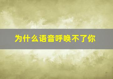 为什么语音呼唤不了你