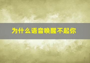 为什么语音唤醒不起你