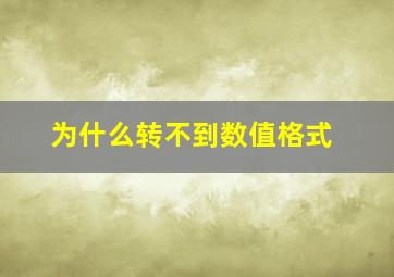 为什么转不到数值格式