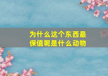 为什么这个东西最保值呢是什么动物