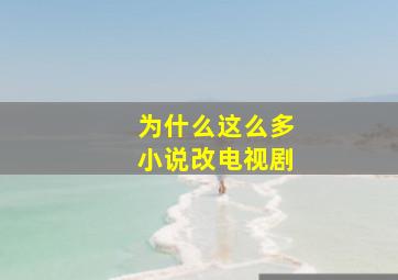 为什么这么多小说改电视剧