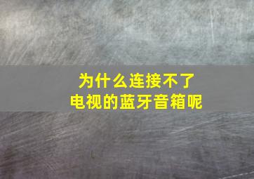 为什么连接不了电视的蓝牙音箱呢